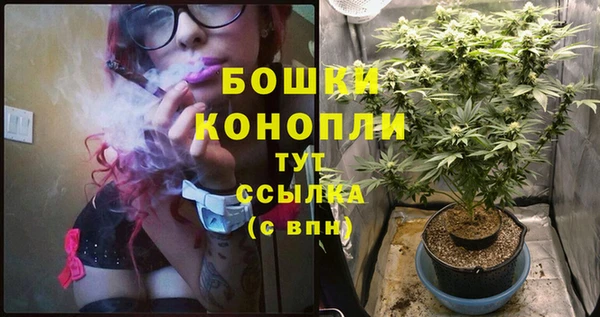 гидра Нефтегорск