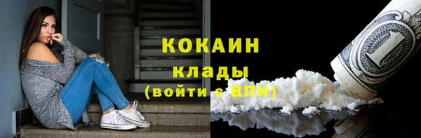дмт Нея