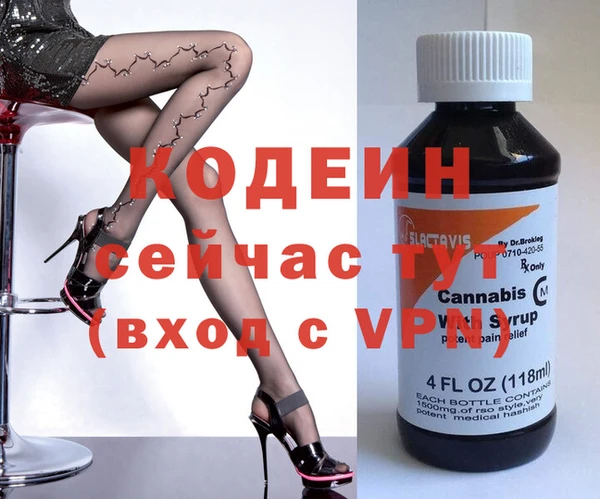 дмт Нея