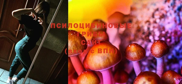 дмт Нея